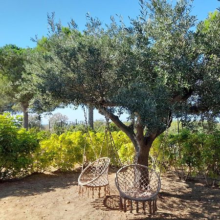 Locanda Degli Scrittori Acomodação com café da manhã Agrigento Exterior foto