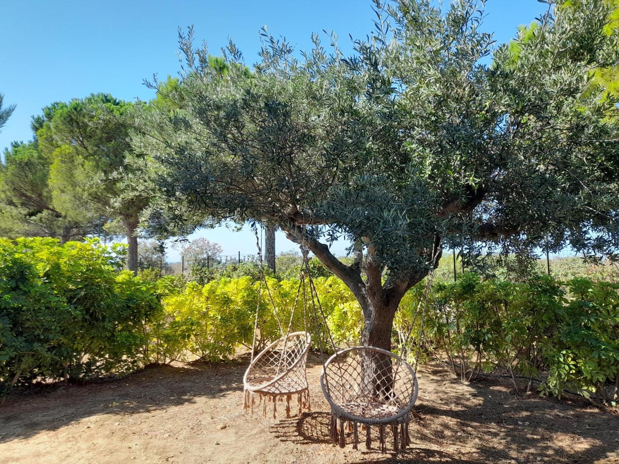 Locanda Degli Scrittori Acomodação com café da manhã Agrigento Exterior foto